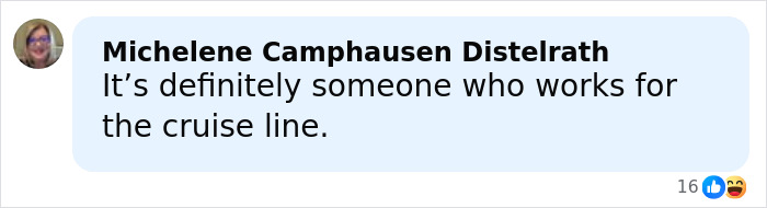 Comment from Michelene Camphausen Distelrath stating suspicion about a cruise line employee in a serious investigation.