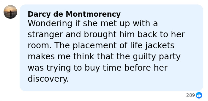 Comment from Darcy de Montmorency speculating about a stranger and life jackets related to a stepsibling investigation on a cruise.