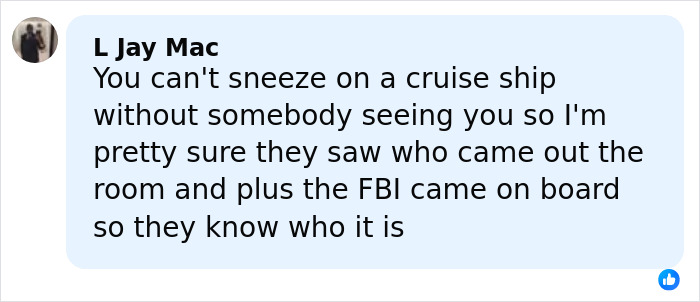 Comment discussing the stepsibling under investigation after teen's body found stuffed under bed on Carnival Cruise.