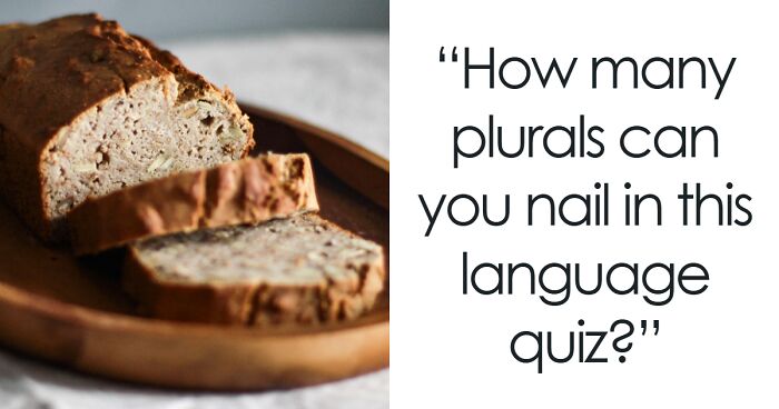 “Think You Know English Plurals?”: Take This 25-Question Quiz And Find Out