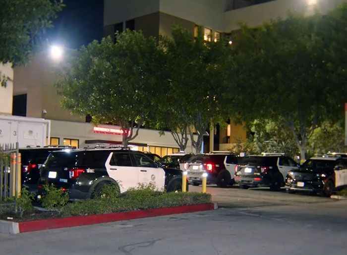 Multiple police vehicles parked outside a building at night during the investigation of Singer DELAROSA ambush in LA. Multiple police vehicles parked outside a building at night during the investigation of Singer DELAROSA ambush in LA.