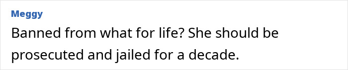 Comment text on a forum screen showing user Meggy's opinion about a trainee police officer getting a lifetime ban for revealing secrets. Comment text on a forum screen showing user Meggy's opinion about a trainee police officer getting a lifetime ban for revealing secrets.