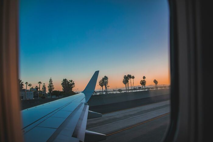 View of palm trees and sunset outside airplane window during takeoff, symbolizing relationship gestures and princess treatment.