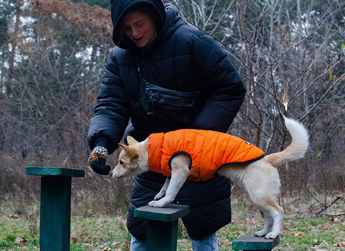 Woman in black coat training dog in orange jacket outdoors, addressing neighbors with noisy dogs in quiet neighborhood.