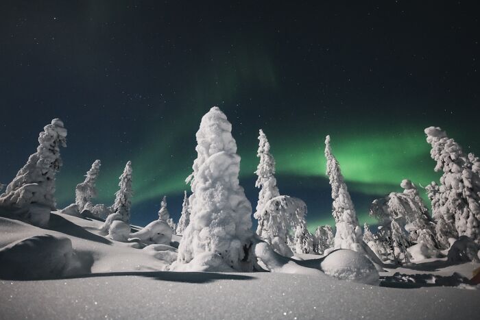 Snow-covered trees under a clear night sky with vibrant Northern Lights, showcasing one of the best places and times to see them.