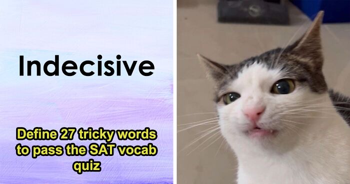 “Would You Be Accepted Into College Today?”: 27 SAT Vocabulary Questions To Help You Find Out