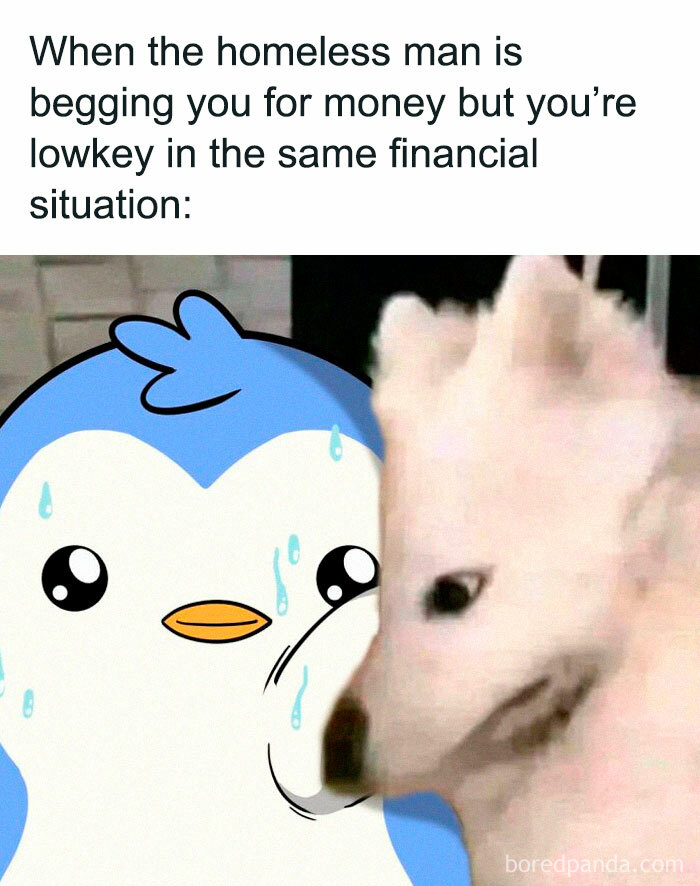 Animated penguin sweating nervously next to a white dog, illustrating self-deprecating memes feel personally attacked concept.
