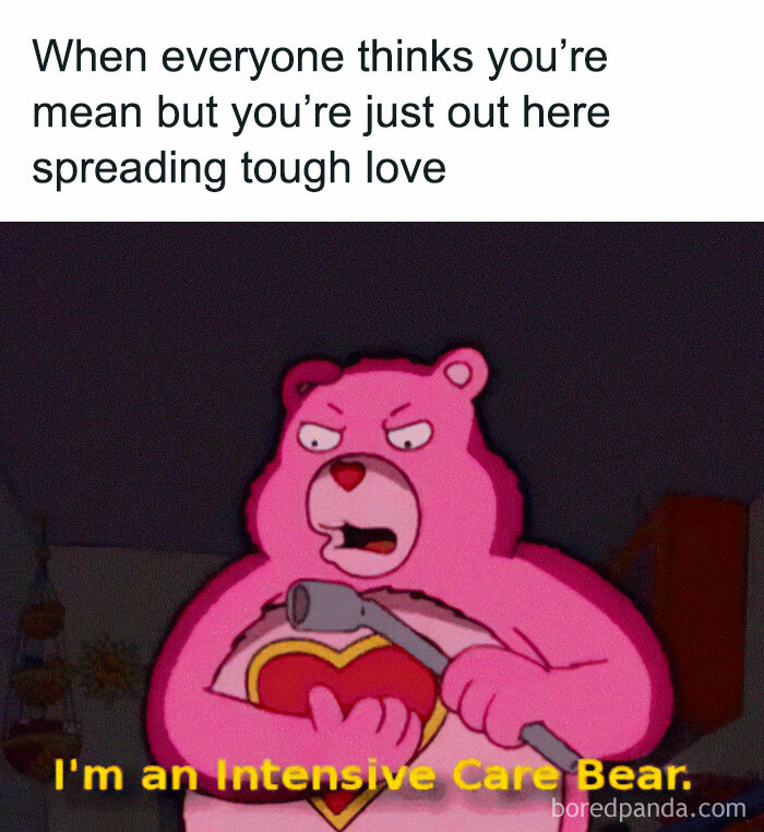 Angry pink bear meme illustrating self-deprecating memes that feel personally attacked with tough love humor.