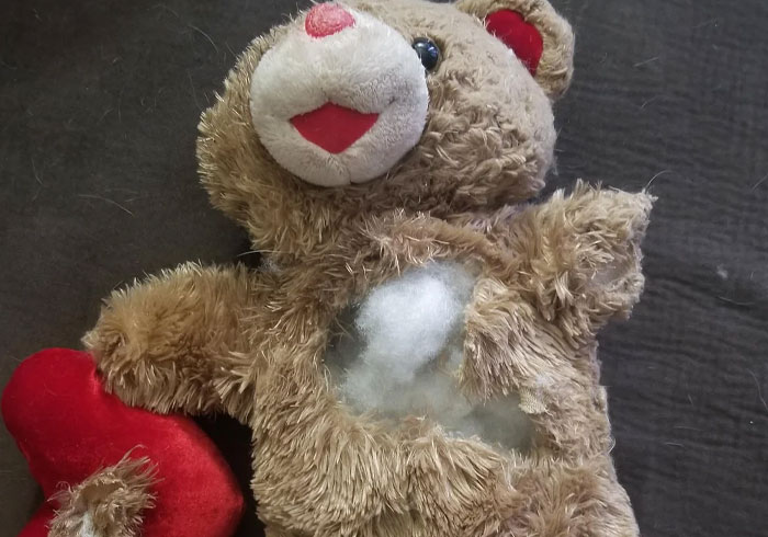 Torn teddy bear lying on a surface representing a woman deciding to destroy child's Christmas presents over charity dispute.