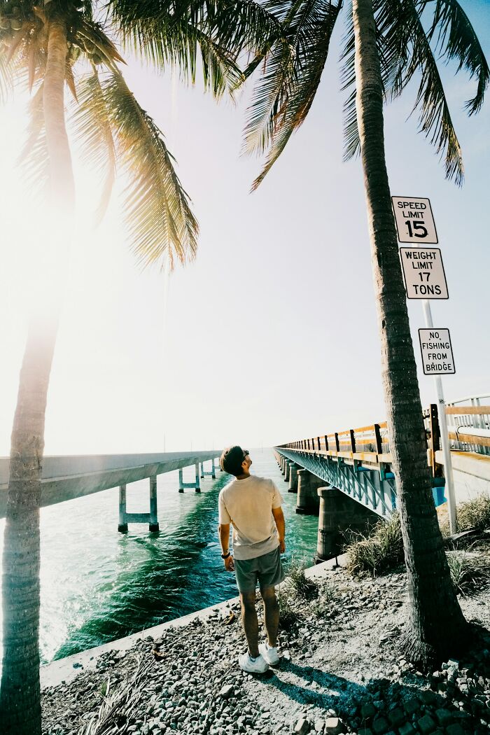 Man standing near palm trees and a bridge over water in Miami on a bright sunny day with clear skies.