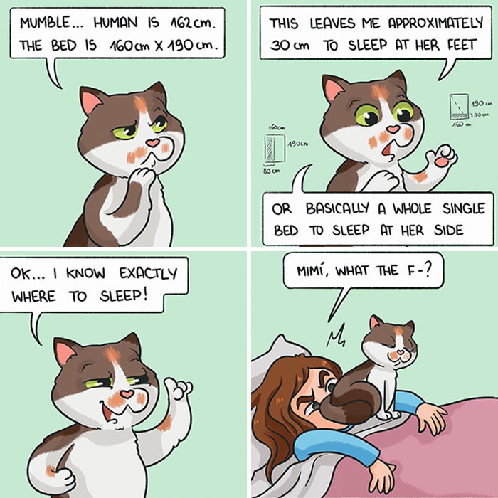 50 Witty Comics By Scintilla Desiderata That Perfectly Capture Everyday Life (New Pics)