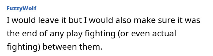 Screenshot of an online comment discussing the aftermath of a teen&rsquo;s sprain and c*****d ribs during a family visit.