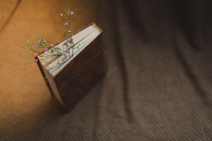Old book with delicate flowers growing from its pages, symbolizing deep internet rabbit holes and immersive journeys.