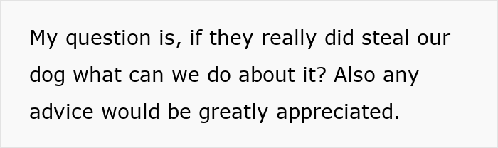 Text asking for advice on what to do if sister-in-law has stolen wife&rsquo;s dog and seeking help with the situation.