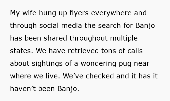 Alt text: Husband and wife searching for stolen wife's dog, sharing sightings of a wandering pug on social media and flyers.