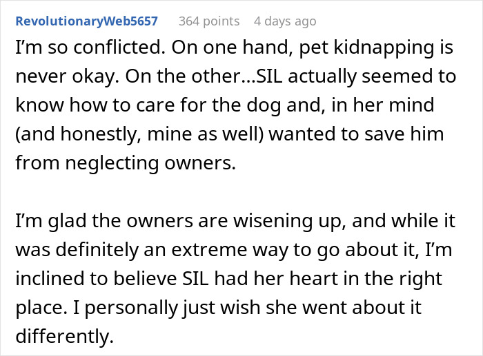 User comment discussing conflicted feelings about sister-in-law stealing wife's dog to protect it from neglectful owners.