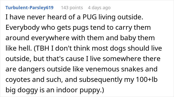 Comment discussing pug dogs as indoor pets and mentioning dangers outside, related to stolen wife's dog sister in law.