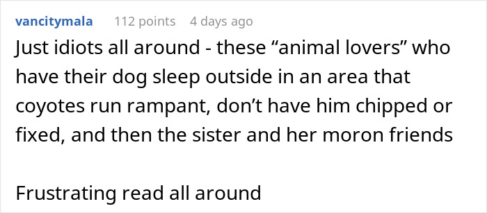 Comment discussing frustrations about stolen wife's dog involving sister-in-law and irresponsible pet care in coyote-prone area.