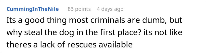 Screenshot of a Reddit comment discussing the foolishness of stealing a dog, related to stolen wife's dog sister-in-law.