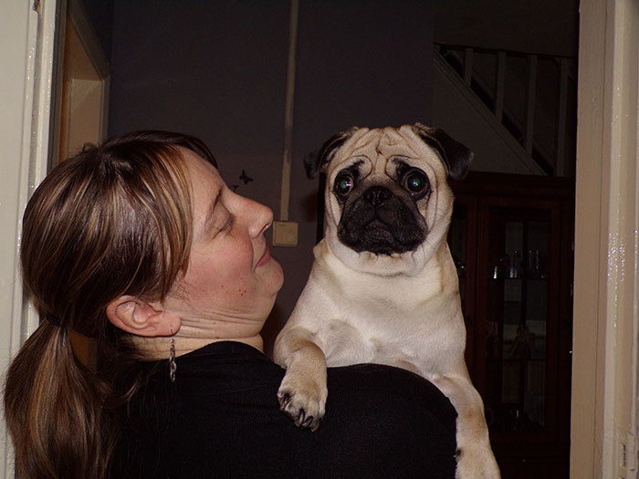 Woman holding a pug dog indoors, illustrating a stolen wife's dog sister in law situation.