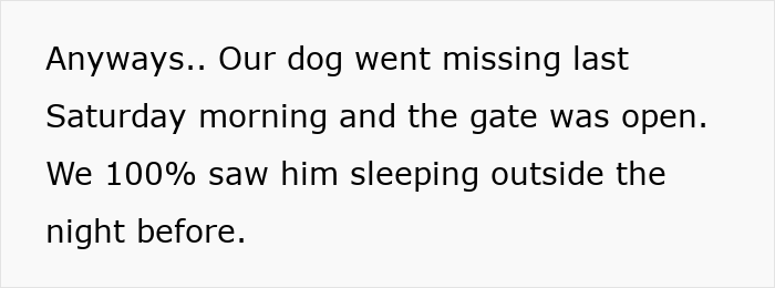 Text excerpt about a stolen dog discussing the missing dog incident involving the sister-in-law and the open gate.