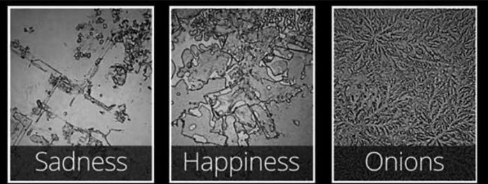 Microscopic images showing unusual crystal patterns representing sadness, happiness, and onions in strange world facts.