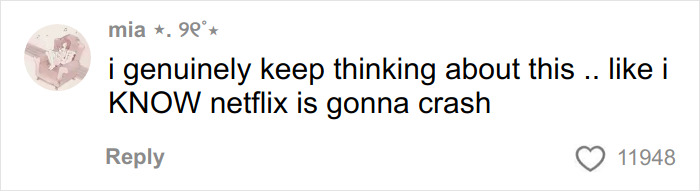 Comment on social media expressing concern about Netflix crashing, related to Stranger Things creators' cryptic warning for fans.