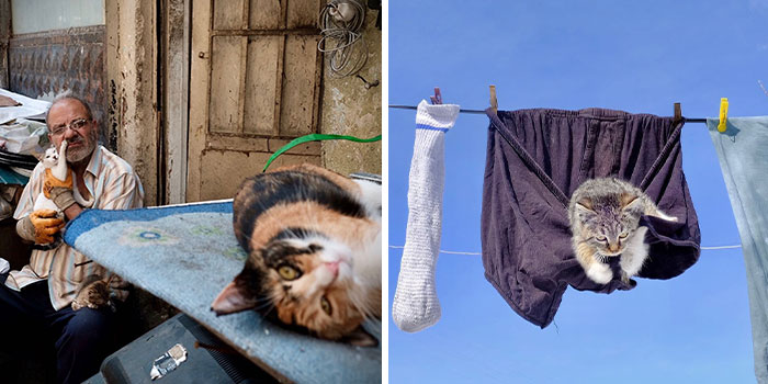 50 Beautifully Candid Moments From Istanbul’s Streets By Sami Uçan