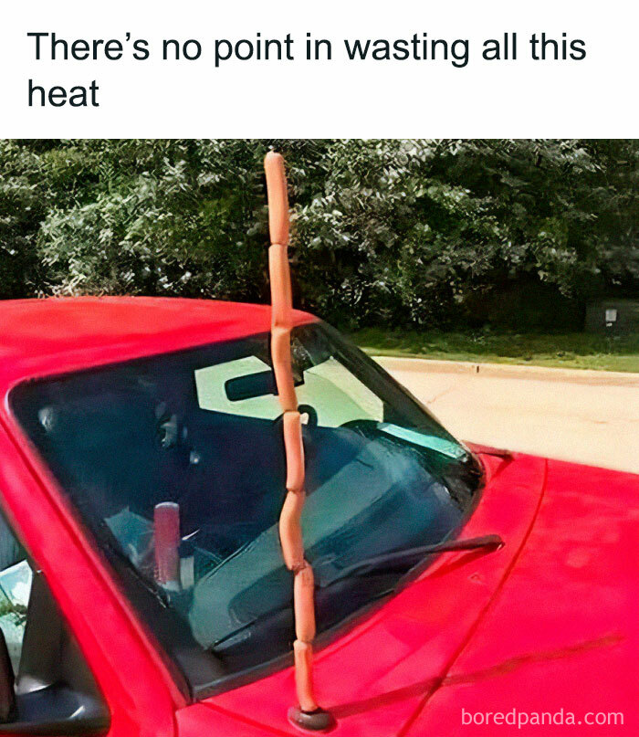 Red car with a vertical stack of hot dogs on the antenna humorously captioned about wasting heat in stupid food memes.