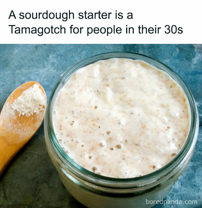A humorous food meme showing sourdough starter with caption about people in their 30s and stupid food memes concept.