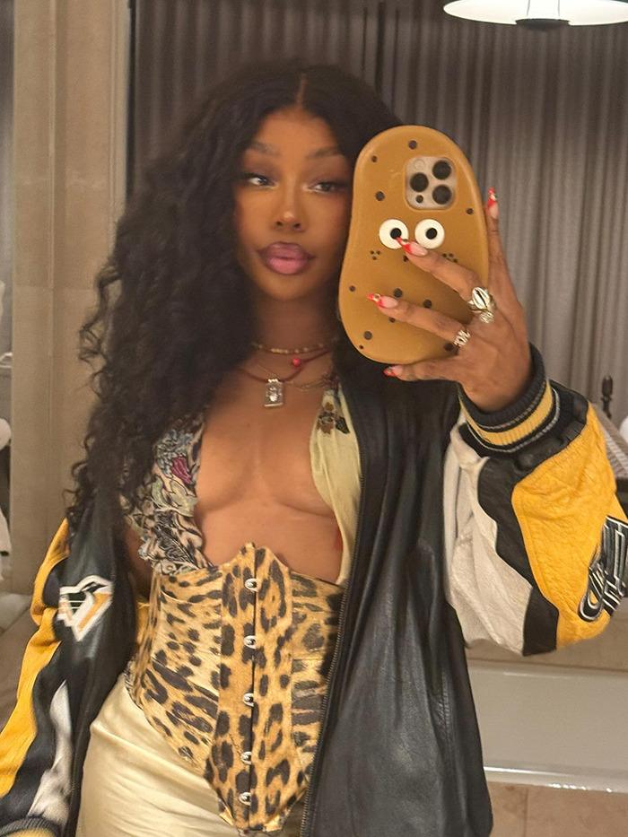 Woman taking a mirror selfie wearing a leopard print corset and jacket, focusing on stretch marks on skin transformation.