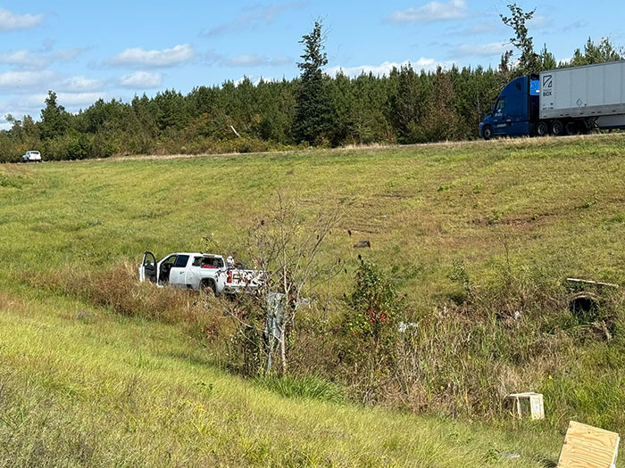 White pickup truck stopped in grassy ditch near highway with forest backdrop during heated debate online over escaped research monkey incident.