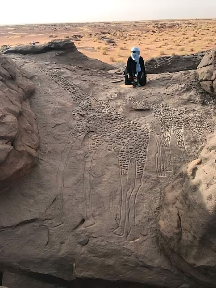 Ancient rock carvings of giraffes in a desert landscape with a person in traditional clothing nearby, archeology find.