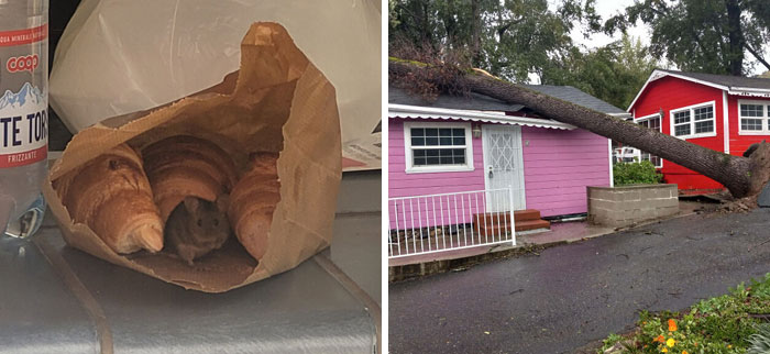 If Today Feels Horrible, Here Are 50 Photos To Remind You It Can Always Get Worse (New Pics)