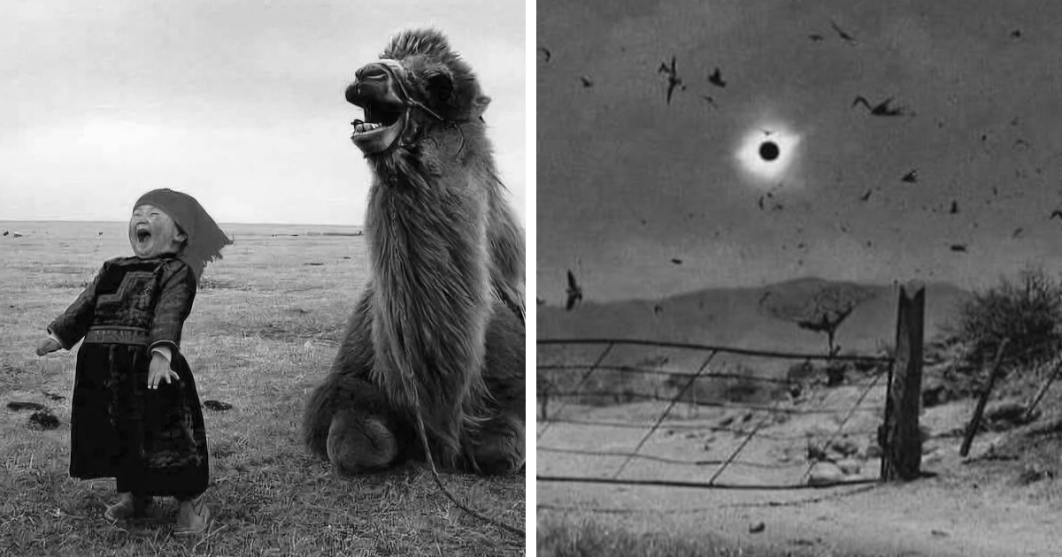 30 Curiosas y elocuentes fotos de esta comunidad dedicada a la historia