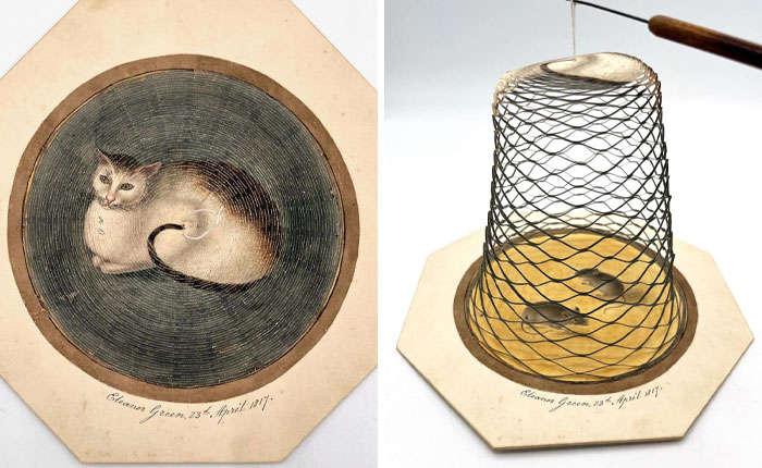 Very old objects including an antique cat illustration and a vintage fish trap showcasing stories of our ancestors.