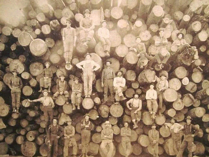 Group of workers posing on large stacked logs, representing very old objects that survived to tell stories about ancestors.