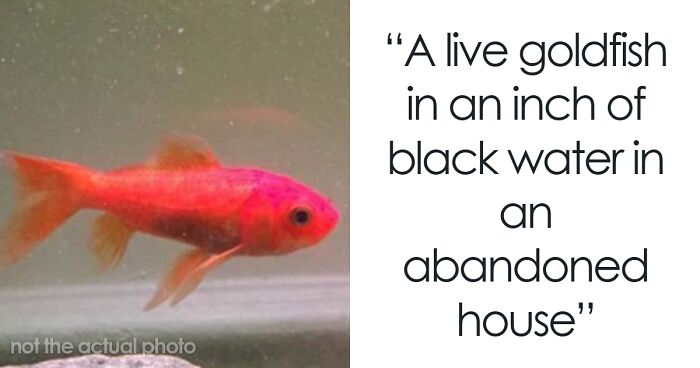 “It May Be The Single Worst Thing I’ve Ever Seen”: 50 Urban Explorers Share Their Creepiest Finds