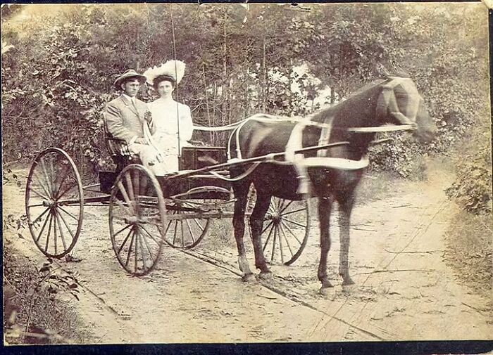 Victorian Edwardian pictures of a couple riding in a horse-drawn carriage on a dirt road surrounded by trees.