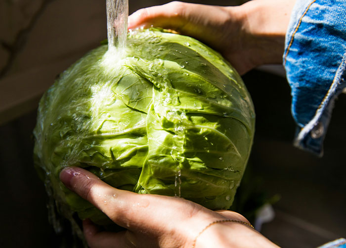 Hands washing a fresh green cabbage under running water, demonstrating effective fruits and vegetables washing tips.