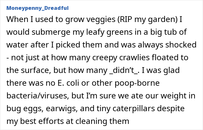 Person sharing tips on washing fruits and vegetables from the store to remove bugs and bacteria effectively.