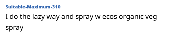 Spraying fruits and vegetables with organic cleaning spray as a washing tip before consumption from the store.