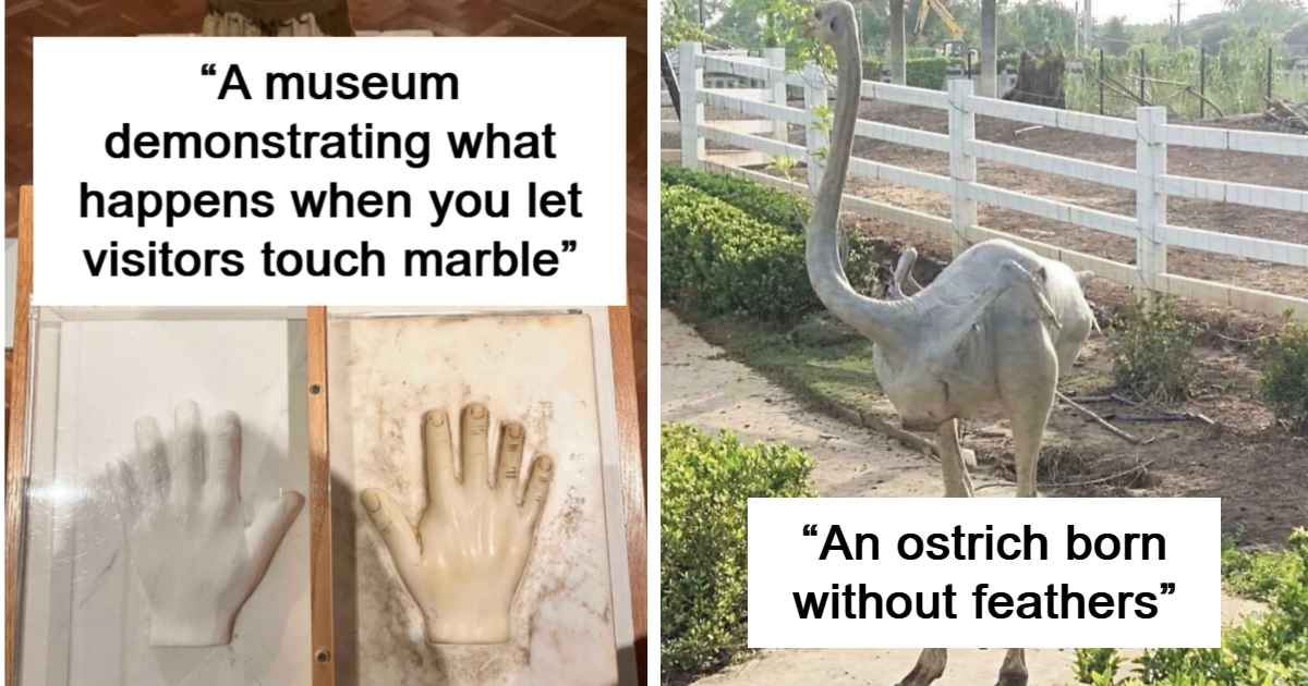 60 Intriguing Photos That Answer People’s “What Happens When