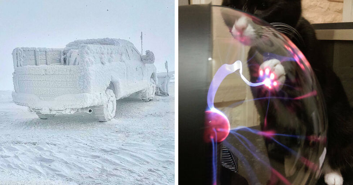 30 Personas que vieron algo «bastante interesante» y lo compartieron