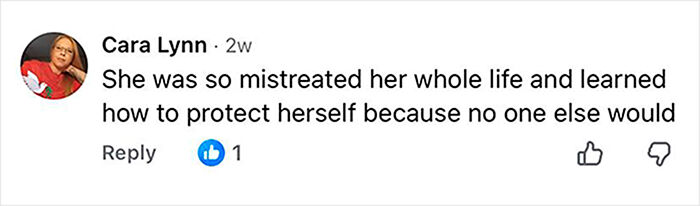 Comment from Cara Lynn discussing how a person was mistreated and learned to protect herself, related to Netflix doc on serial criminal. Comment from Cara Lynn discussing how a person was mistreated and learned to protect herself, related to Netflix doc on serial criminal.