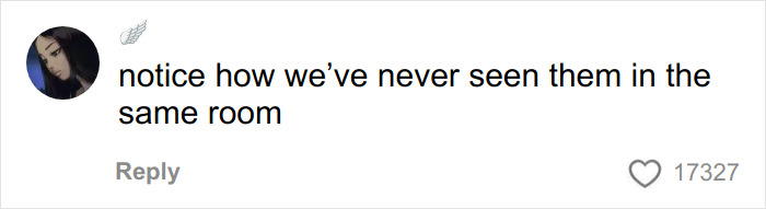 Social media comment fueling the theory that Timoth&eacute;e Chalamet is secretly masked rapper EsDeeKid.