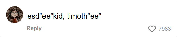 Comment on social media post mentioning EsDeeKid and Timoth&eacute;e Chalamet, fueling fan theories about the masked rapper's identity.