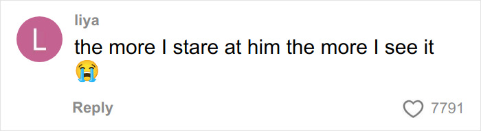 Comment on social media expressing growing belief that Timoth&eacute;e Chalamet is secretly masked rapper EsDeeKid.