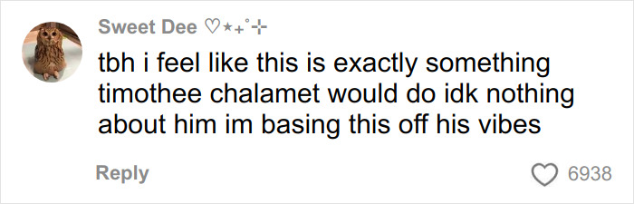 Screenshot of a social media comment suggesting Timoth&eacute;e Chalamet vibes match those of masked rapper EsDeeKid.