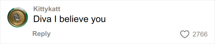 Comment by user Kittykatt saying Diva I believe you with 2,766 likes, related to fans convinced Timoth&eacute;e Chalamet and rapper EsDeeKid theory.